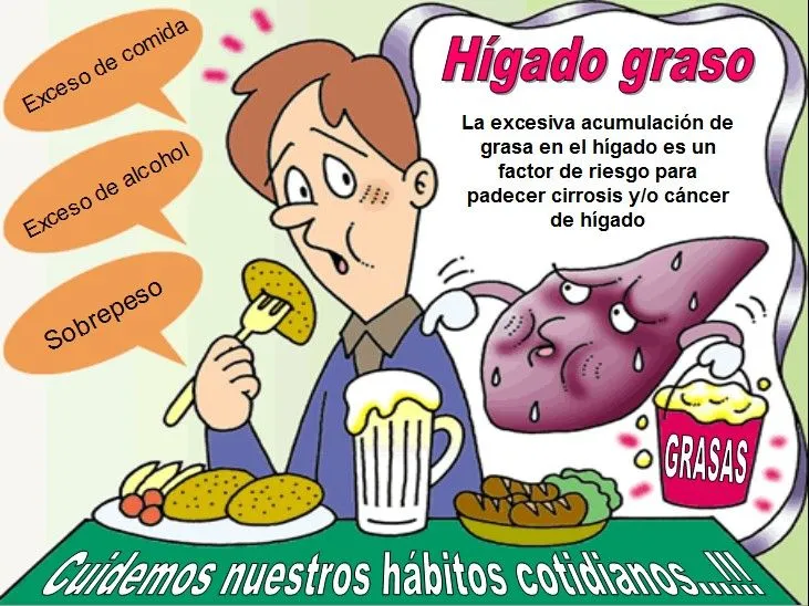 MI SALUD Y MIS DIETAS: El Hígado - Cómo cuidar el hígado?