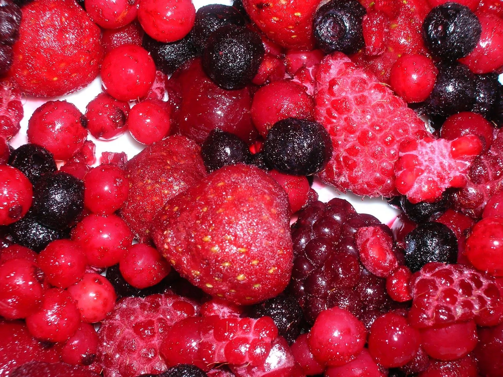 SALUD HOY: Envejecimiento y frutos rojos