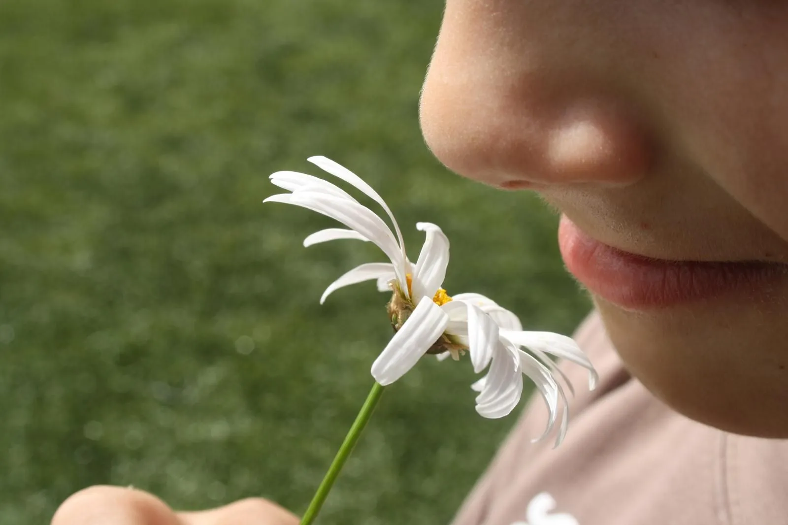 Hay una flor blanco oliéndola. Huele bien.