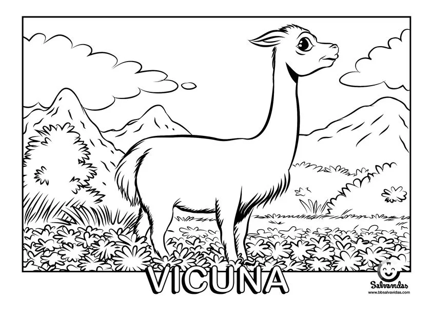 salvavidas: Coloreando la Fauna Peruana: La Vicuña