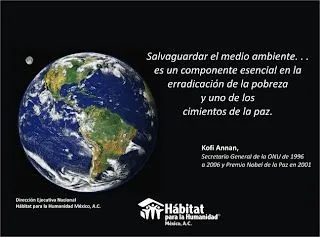 SALVEMOS EL MEDIO AMBIENTE: FRASES DE REFLEXION