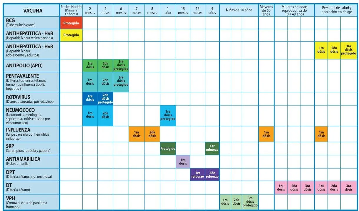 SAMARIEL 4 EVER: TIPS DE SALUD: Esquema de vacunación