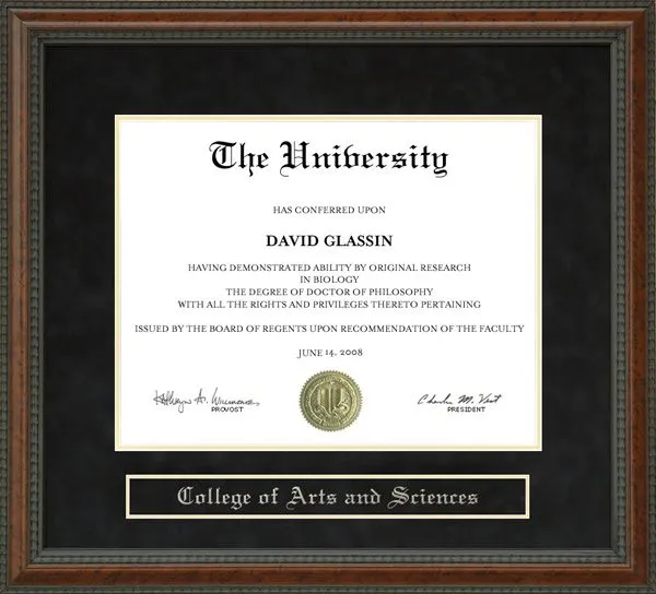 San Jacinto College Diploma Frame: Wordyisms