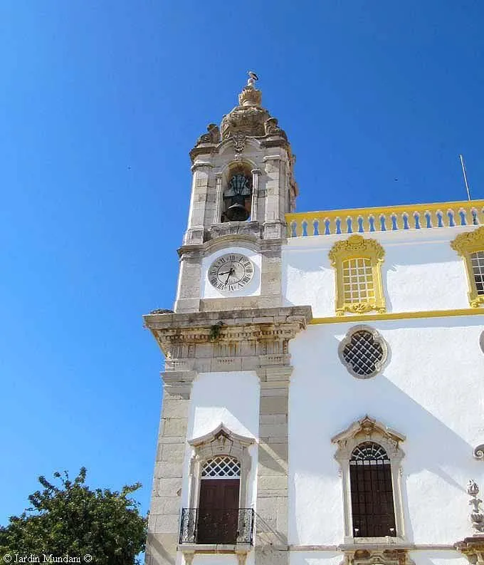 Sangrando en verde: Cabrahigos, cigüeñas y un pato