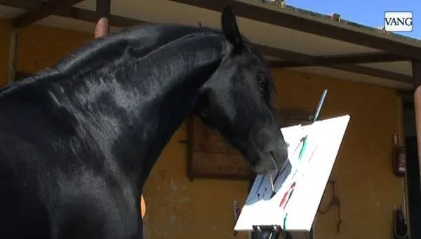 Santi Serra: "¡Mis caballos bailan, pintan y vuelan!"