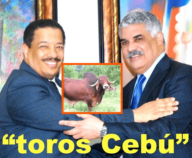 santiago30caballeros.com: HIPOLITO MEJIA LOS LLAMA “TOROS CEBU”