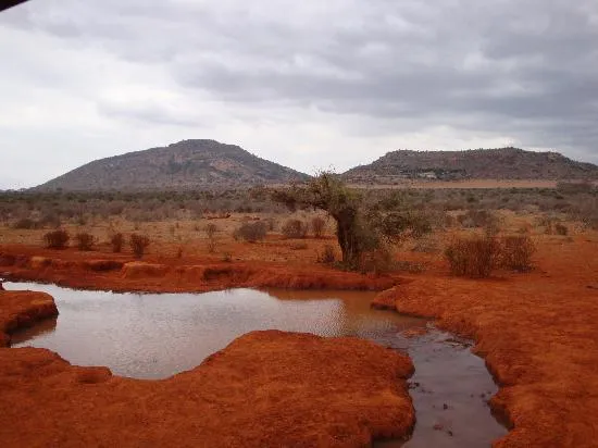 La Savana: fotografía de Malindi, Provincia de la Costa - TripAdvisor