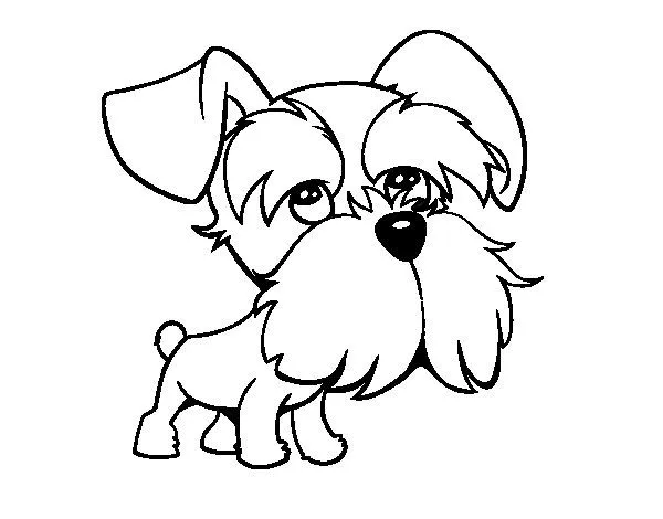 Schnauzer coloring page - Coloringcrew.com