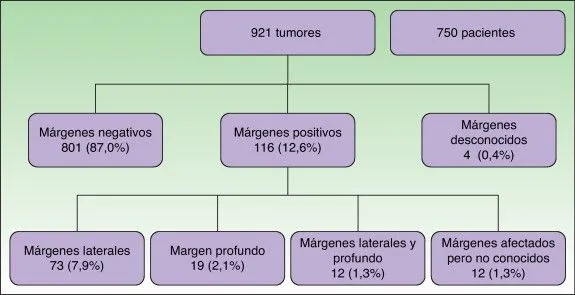 ScienceDirect.com - Actas Dermo-Sifiliográficas - Evaluación de ...