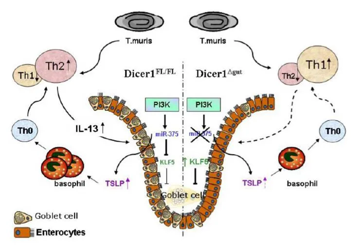 SCIENTIA TOTUM CIRCUMIT ORBEM: Fevereiro 2011