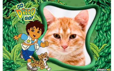 Scrapee.net - Marco de Foto Go Diego Go