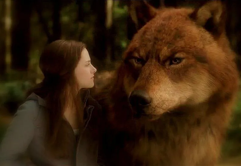 Screencaps de Bella e Jacob na forma lobo - Twilight Portugal