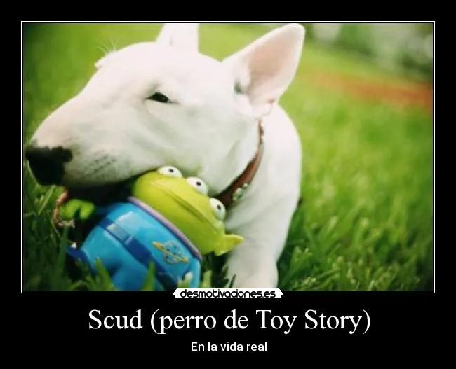 Scud (perro de Toy Story) | Desmotivaciones