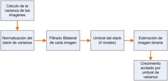 Segmentacion tejido