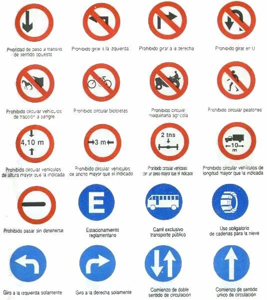 Seguridad Vial: Consignas Básicas