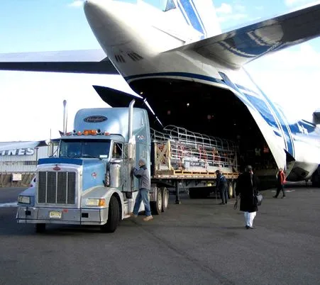 Seguros de Transporte Aéreo : Safecargo