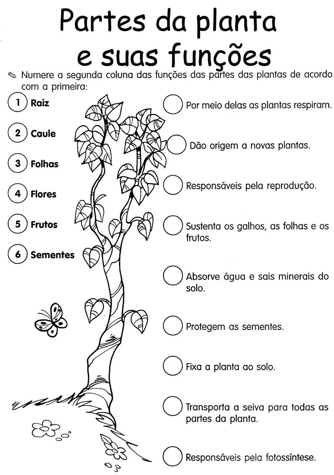 Seja bem-vindo ao nosso mundo...: Partes da Planta - Atividades