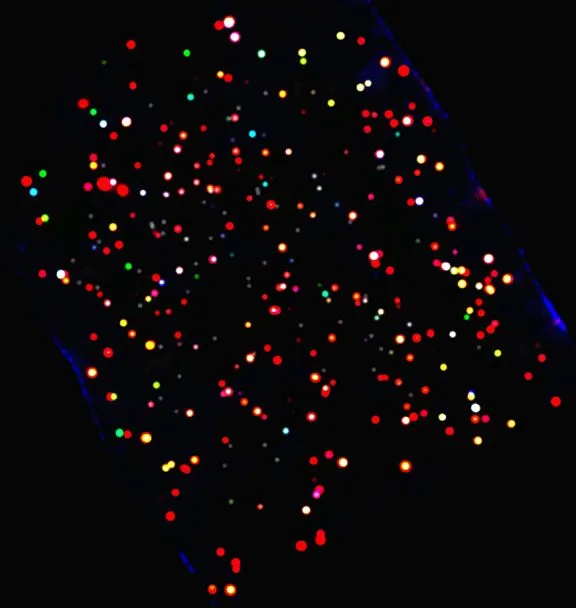 Selección Multimedia 2013-13 | De Revolutionibus: Noticias del cosmos