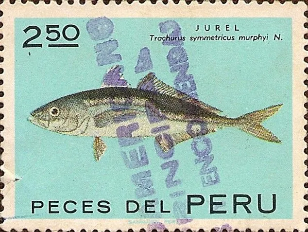 Sello: Peces del Perú: JUREL Trachurus symmetricus murphyi. S ...