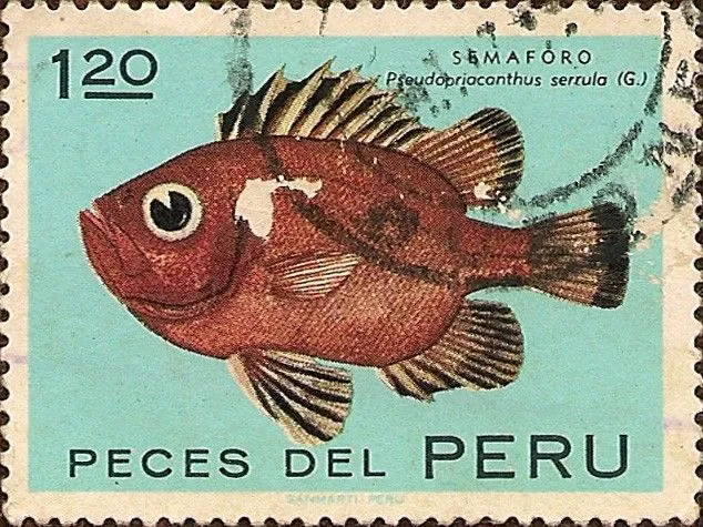 Sello: Peces del Perú: SEMAFORO Pseudopriacanthus serrula. S ...