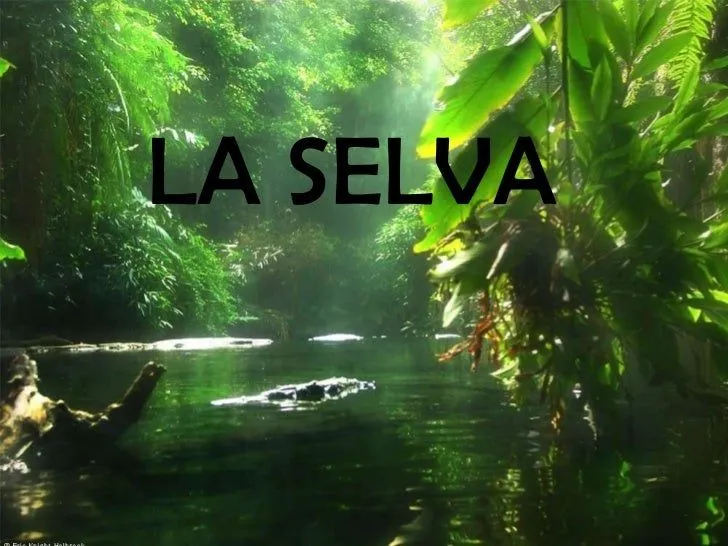 LA SELVA