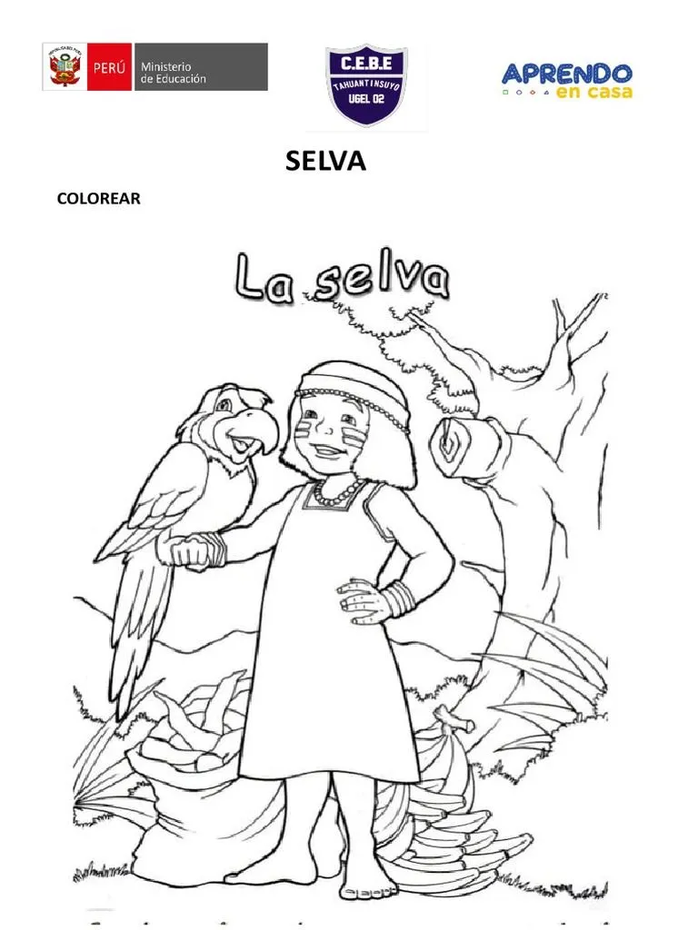 Selva | PDF