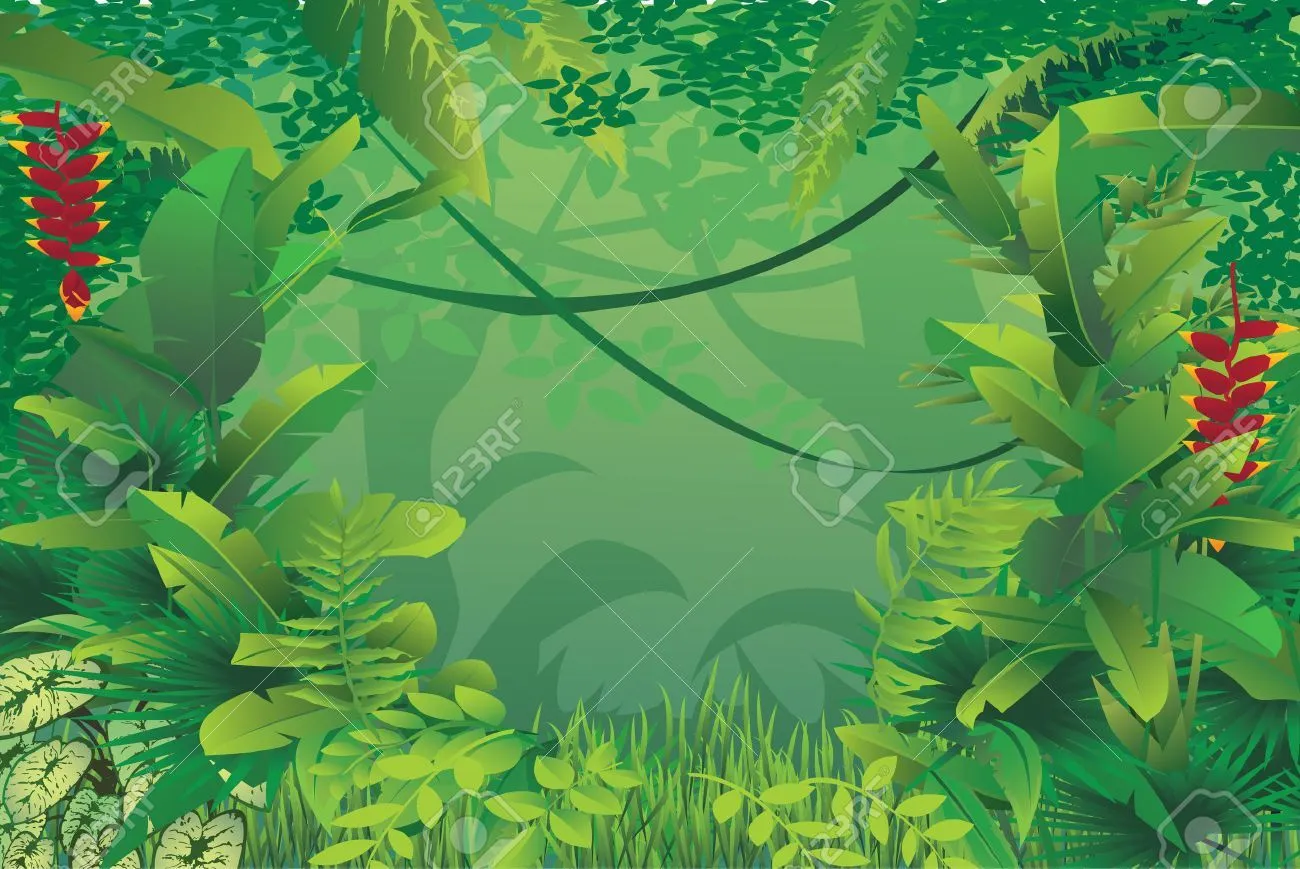 selva tropical illustrations - Google Search | Nuñez Matias ...