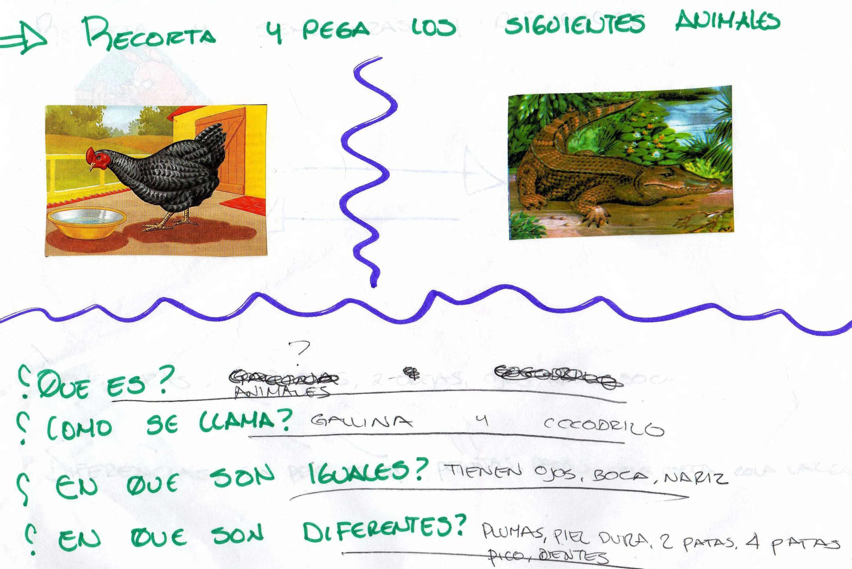 Semejanzas y diferencias - Imagui