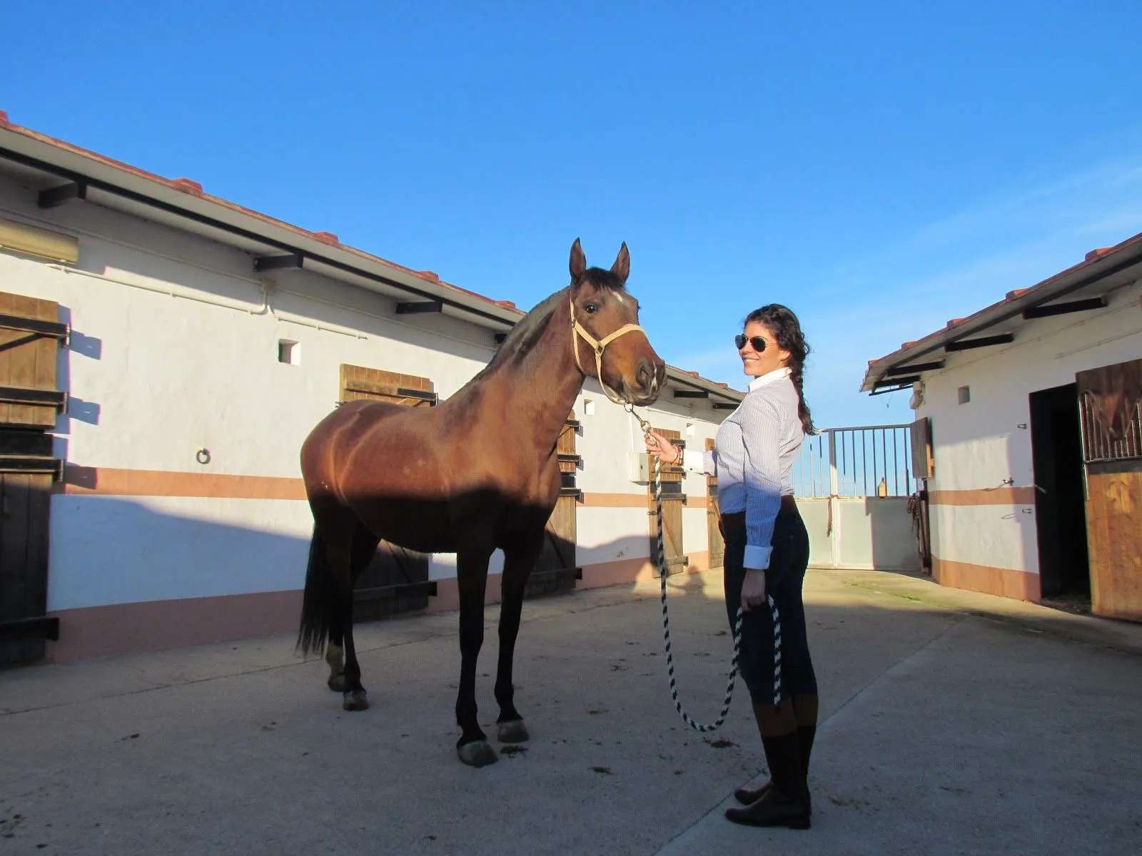 Sencillamente...ideal!!!: BABY HORSE