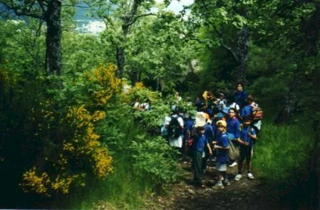 Senderismo: deporte, naturaleza y convivencia