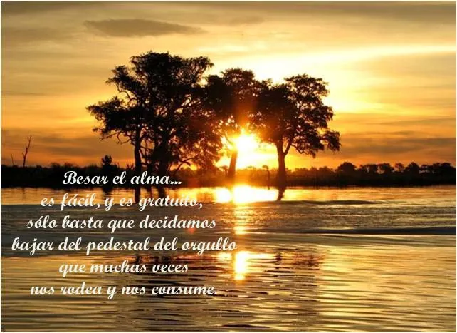 SENDERO DE LUZ.: IMÁGENES CON FRASES, PENSAMIENTOS, REFLEXIONES Y ...