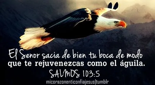 El Señor sacia de bien tu boca de modo que te... - Jesús en ti ...