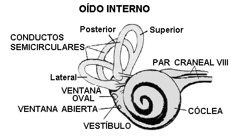 Nuestro rincón para aprender: Unidad 2