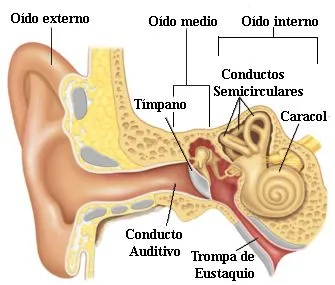 PROYECTO DE AULA GRADO 2º: Ciencias Naturales