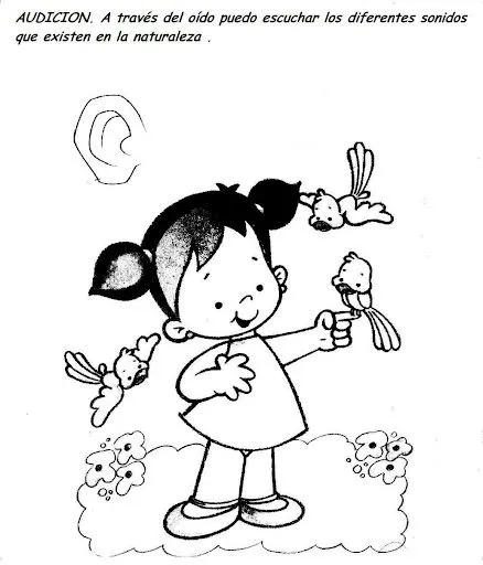 Sentido del olfato para colorear para niños - Imagui