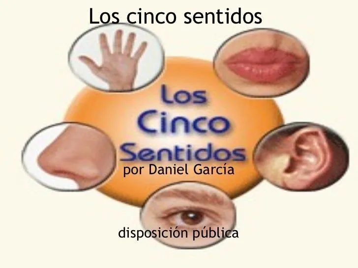 Los cinco sentidos