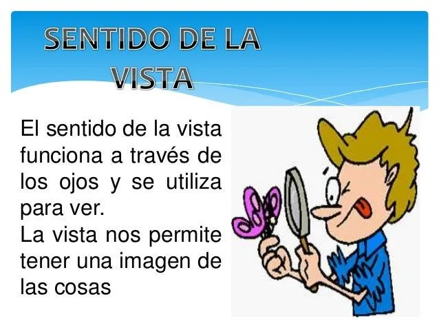 sentidos-del-cuerpo-humano-4- ...