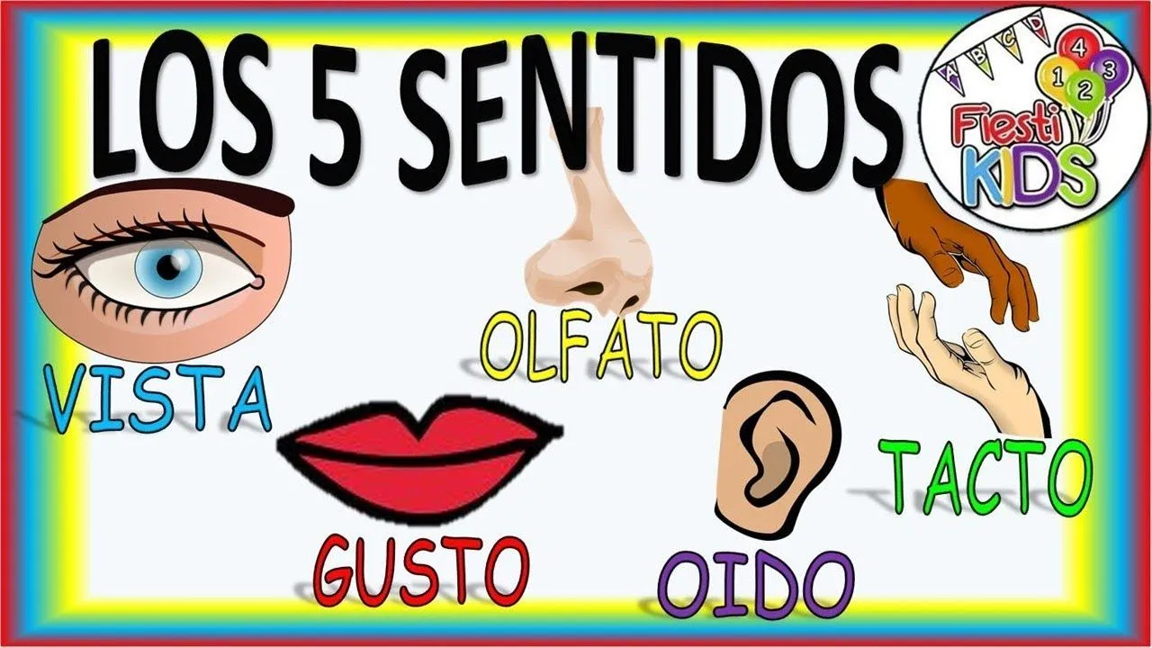 LOS 5 SENTIDOS PARA NIÑOS RENOVADO! THE FIVE SENSES FOR CHILDREN NEW! -  YouTube