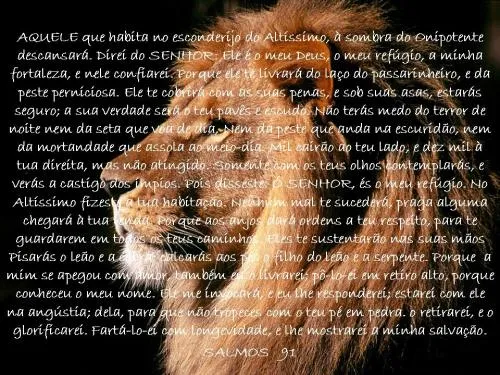 Sentimentos ♥ Pam: Salmos 91