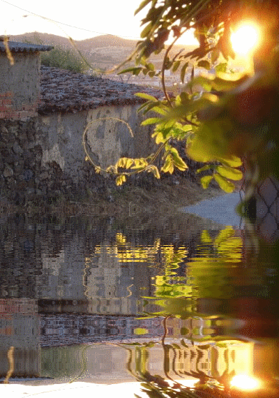 01 | septiembre | 2011 | ESPACIO DE ZOE | Página 4