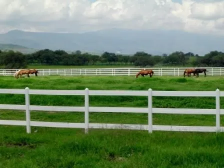 Сercas y corrales — Comprar Сercas y corrales, Precio de , Fotos ...