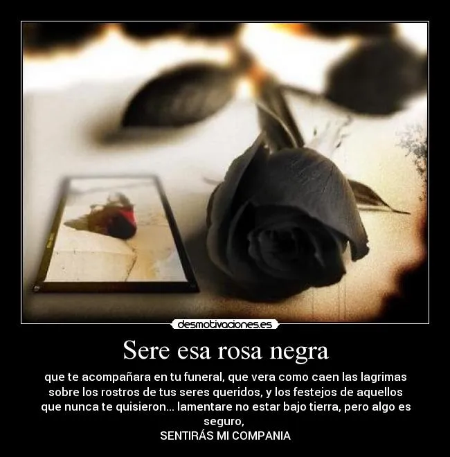 Sere esa rosa negra | Desmotivaciones