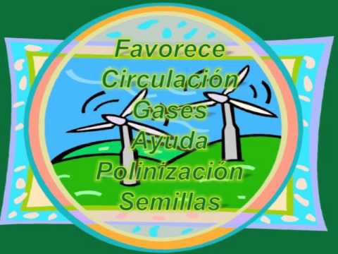 SERES ABIOTICOS | CIENCIAS NATURALES QUINTO