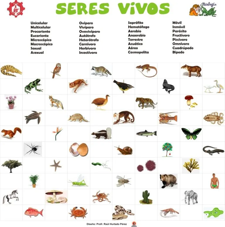 LOS SERES VIVOS