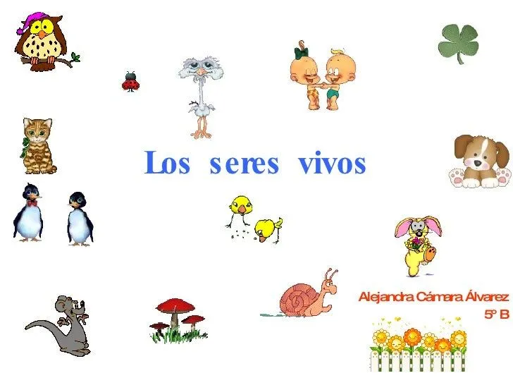 Los seres vivos Alejandra Cámara-5º B