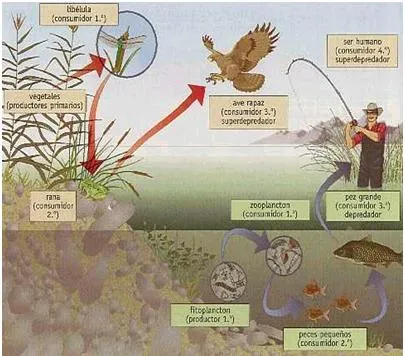 SERES VIVOS | cienciasnatusoriales