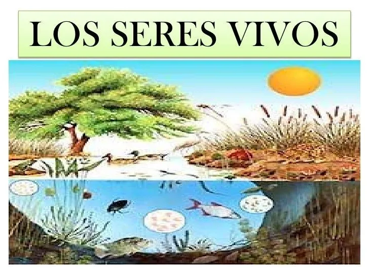 Los Seres Vivos Diapositivas