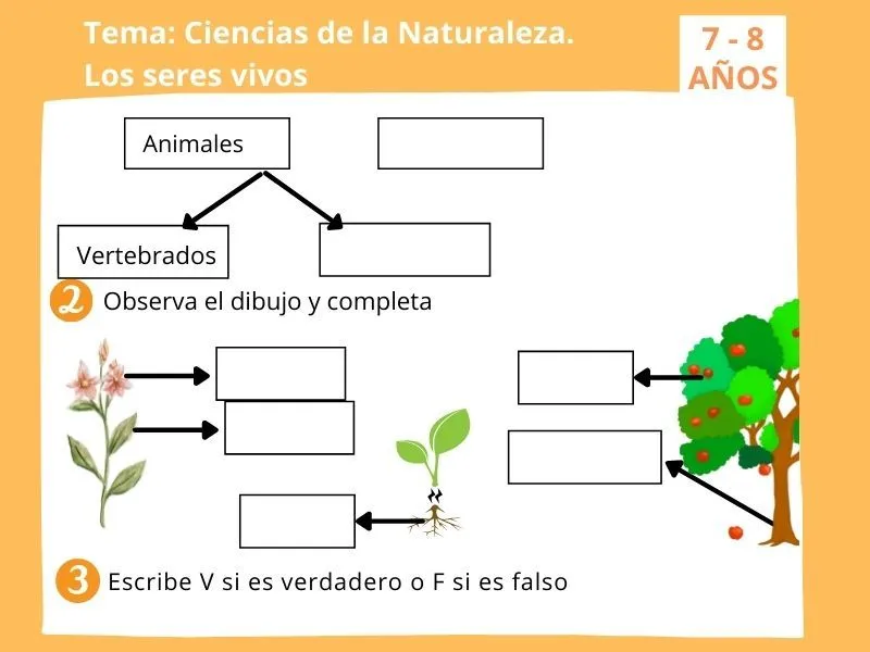 Los seres vivos. Ejercicio de Ciencias Naturales para 2º de Primaria