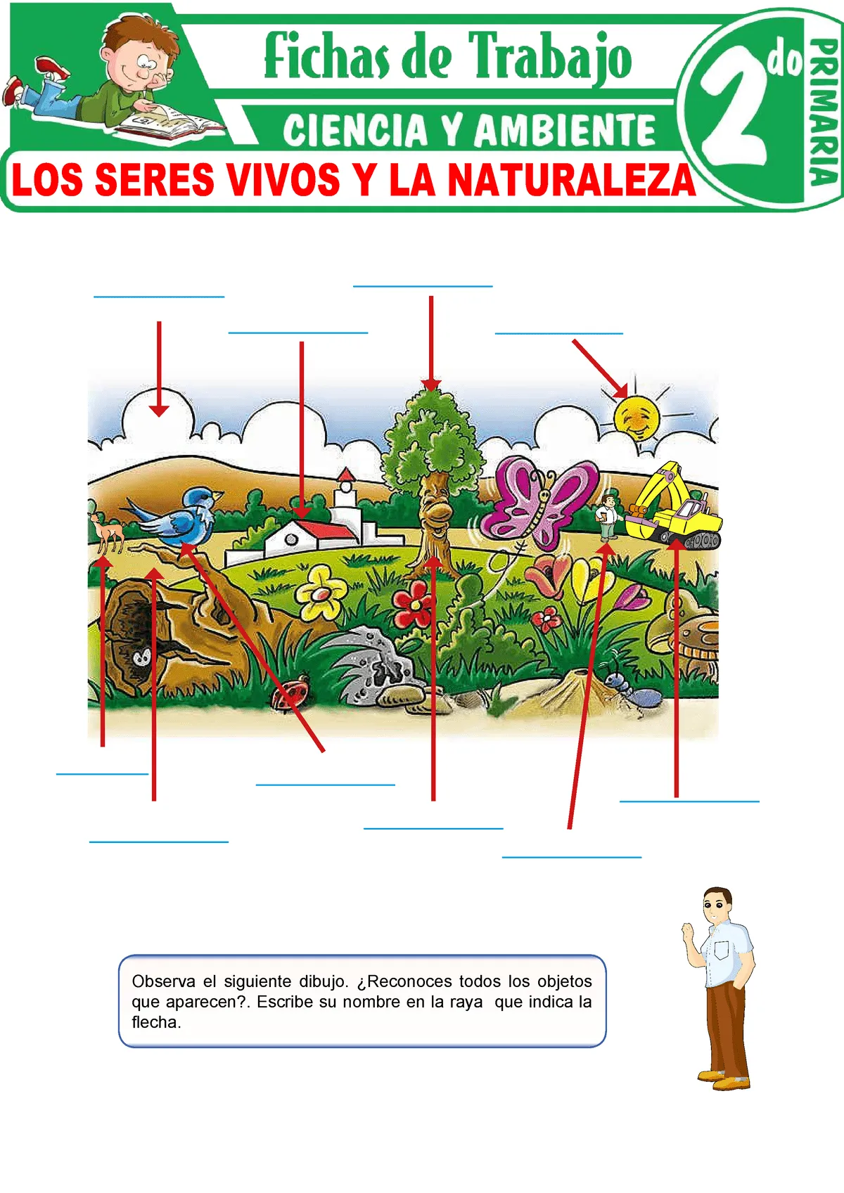 Los seres vivos y la naturaleza para Segundo Grado de Primaria - Observa el  siguiente dibujo. - Studocu