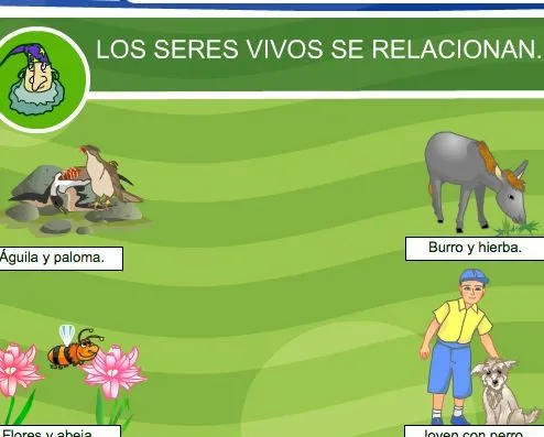 Los seres vivos se relacionan | Recurso educativo 35635 - Tiching ...